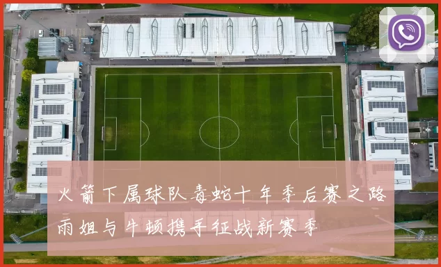火箭下属球队毒蛇十年季后赛之路雨姐与牛顿携手征战新赛季