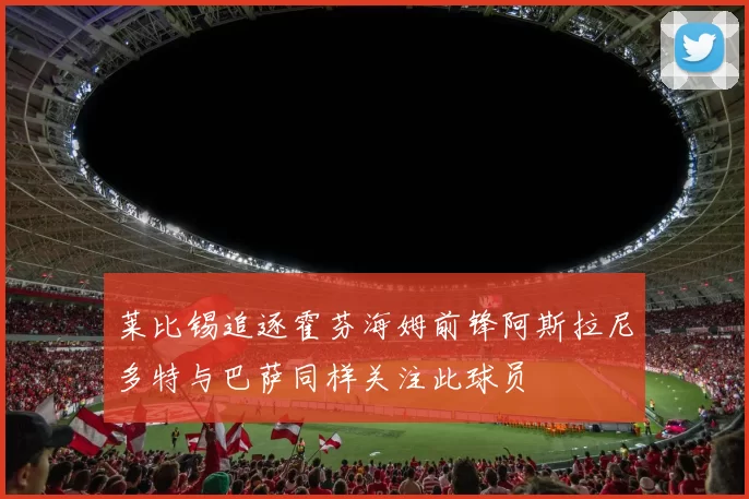 莱比锡追逐霍芬海姆前锋阿斯拉尼多特与巴萨同样关注此球员